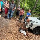 Familienexkursion durch die Waldhusche